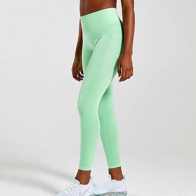 Seamless Leggings - Gymtarget